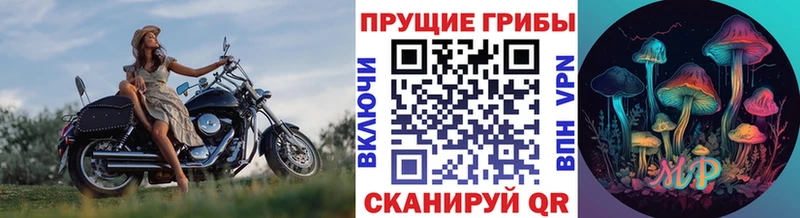 дарнет шоп  Евпатория  Галлюциногенные грибы MAGIC MUSHROOMS 