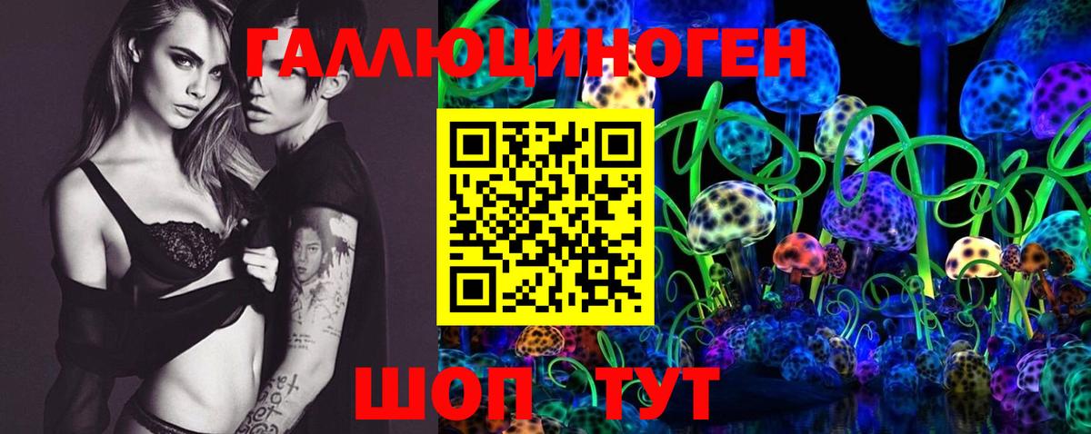 Галлюциногенные грибы мицелий  Вход с VPN  Евпатория  Галлюциногенные грибы Psilocybine cubensis 