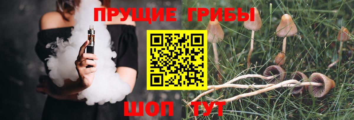 Галлюциногенные грибы Psilocybine cubensis Евпатория
