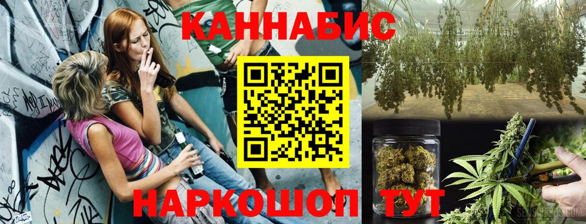 Канабис сатива Евпатория